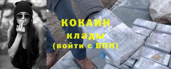 стаф Абаза