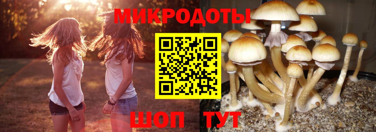 Кокаин Калининград