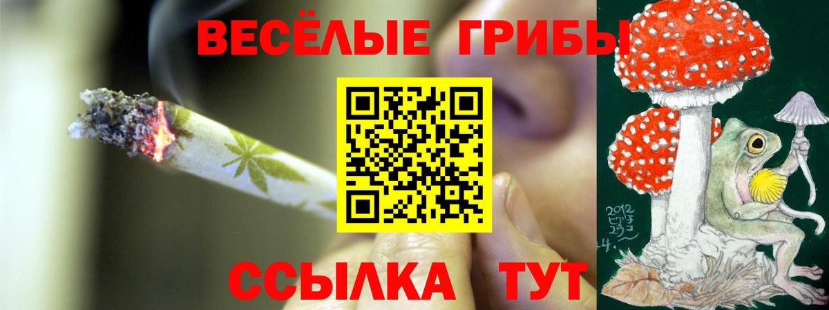 МЕФ   Каннабис  Калининград  ГАШИШ  Вход с VPN  MDMA 