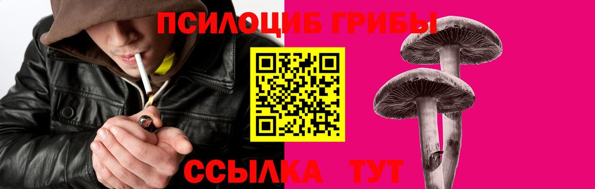 Псилоцибиновые грибы Cubensis Калининград