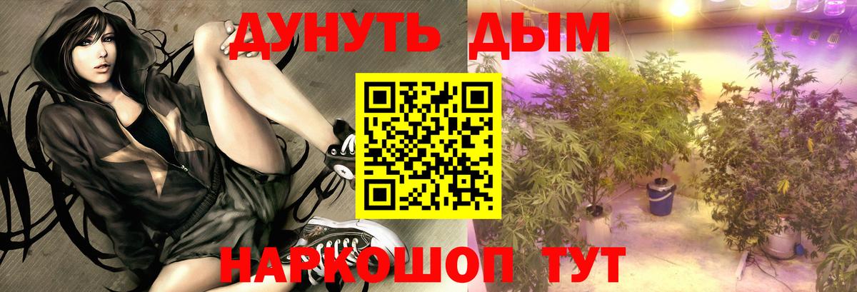 Калининград  МАРИХУАНА ГИДРОПОН  Бошки марихуана марихуана  Вход с VPN  Шишки марихуана THC 21% 