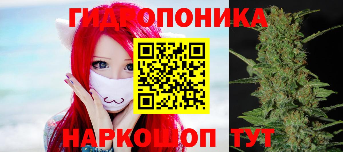 Шишки марихуана AK-47 Калининград